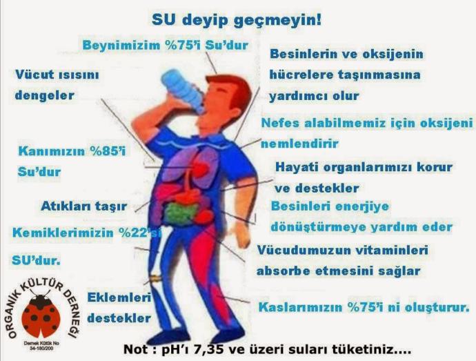 Çağımızın Korkulu Rüyası Olan Kanseri Önlemenin 5 Temel Adımı