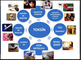 Çağımızın Korkulu Rüyası Olan Kanseri Önlemenin 5 Temel Adımı