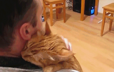 Kedi Mırıldamasının İnsan Sağlığına Faydaları Nelerdir?