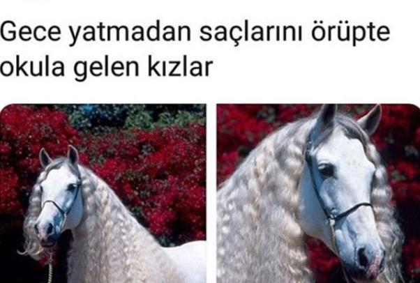 Kim Demiş Kıvırcık Saçlar Kontrol Altına Alınamaz Diye! Hayranlık Uyandıran Belirgin Bukleler İçin 6 Süper Tüyo