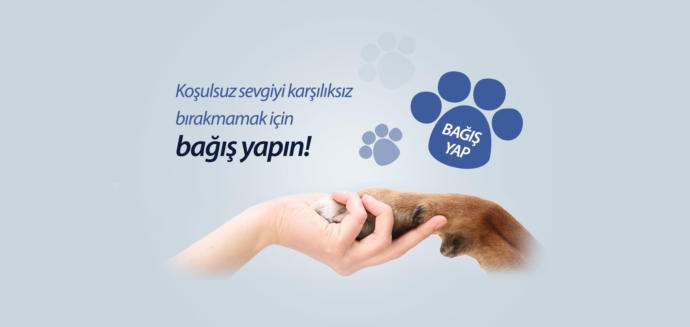 Para Biriktirmek İçin Yapmanız Gerekenler Nelerdir?