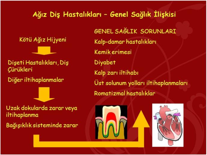 Ağız ve Diş Sağlığında Sorunlara Yol Açan Risk Faktörleri Nelerdir?