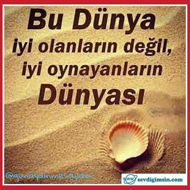 Zeki Olmanın Yakışıklı Olmaya Tercih Edilmesinin Ardında Yatan Sebepler