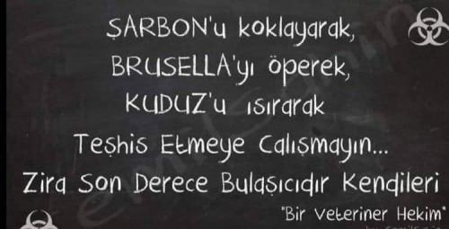 Bir Veteriner Hekimin Ağzından: Şarbon Nedir?