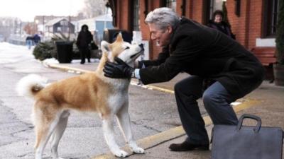 Gozyaslariniza Hakim Olamayacaginiz Bir Film Hachiko Kizlarsoruyor