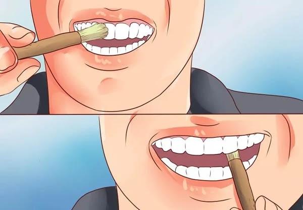 Ağız ve Diş Bakımında Kullanabileceğimiz Doğal Çözümler Nelerdir?