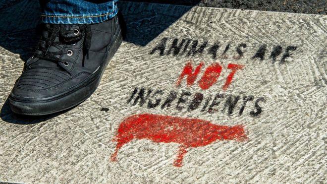 Fransa'da Vegan Aktivistler Kasaplara Saldırdı