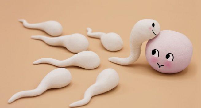 Kamikaze Sperm Nedir?