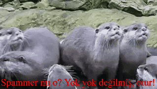 KizlarSoruyor'da Moderatör Olmak İsteyen Üyelerin Yaşayacağı Serüvenin Özeti!