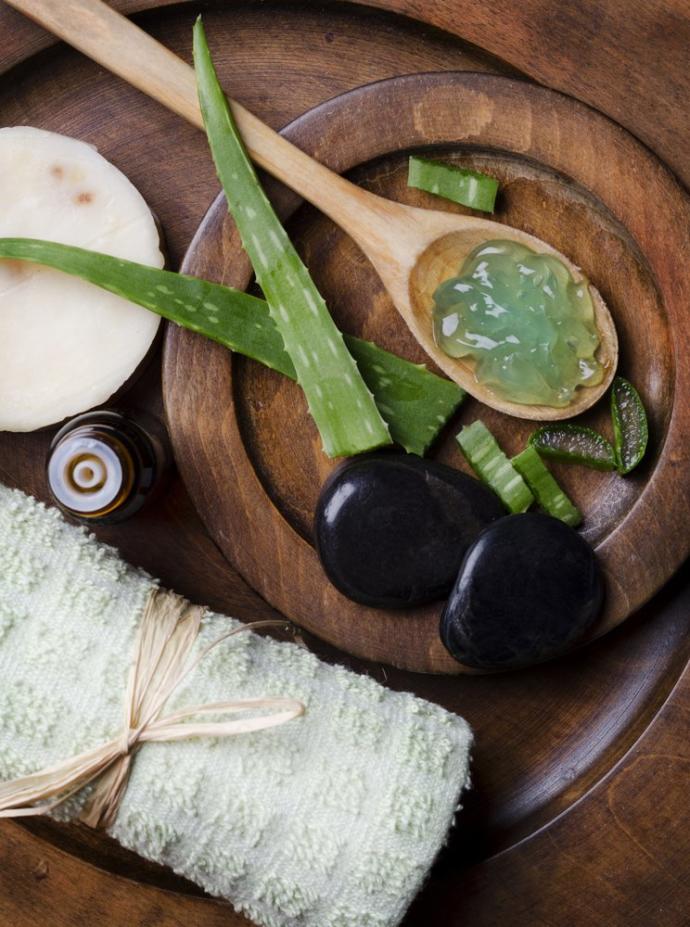 Aloe Vera Yetiştirmek İçin 5 Sebep