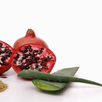 Aloe Vera Yetiştirmek İçin 5 Sebep