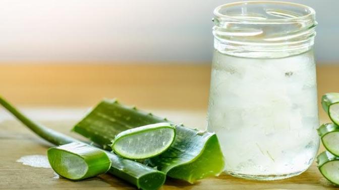 Aloe Vera Yetiştirmek İçin 5 Sebep