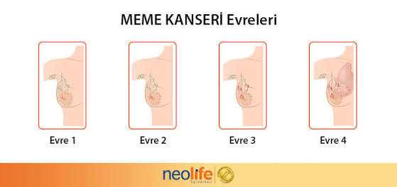🔥Ayaklı bomba kozmetik 👛🛍️💄💣Kozmetik ürünlerinin doğayı, hayvanları, ve özellikle seni ⏳öldürdüğünü☠️ biliyor muydunuz?