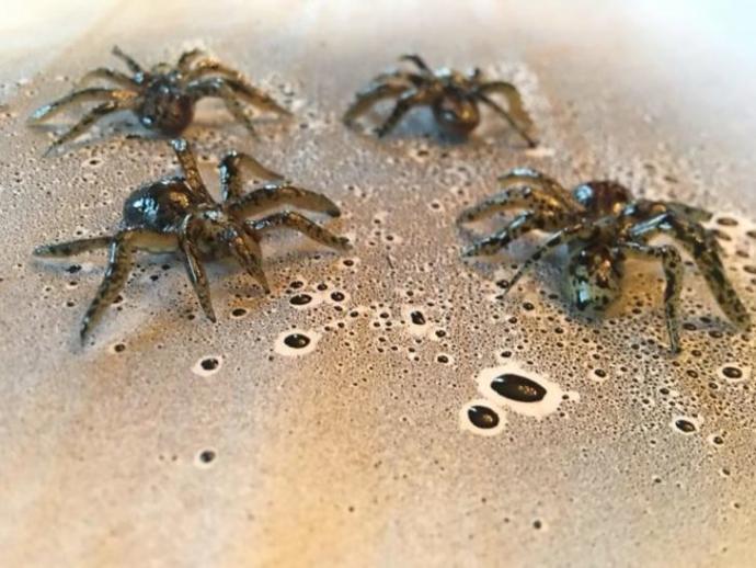 Yemek İçin Cesaret İsteyen 10 Ürpertici Tatlı
