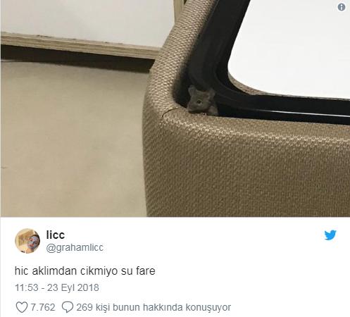 'Farenin de Öğrencisi mi Olurmuş?' Diyorsanız Çok Yanılıyorsunuz! Hadi KYK Faresi İle Tanışın!