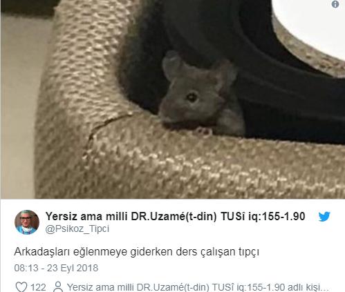 'Farenin de Öğrencisi mi Olurmuş?' Diyorsanız Çok Yanılıyorsunuz! Hadi KYK Faresi İle Tanışın!