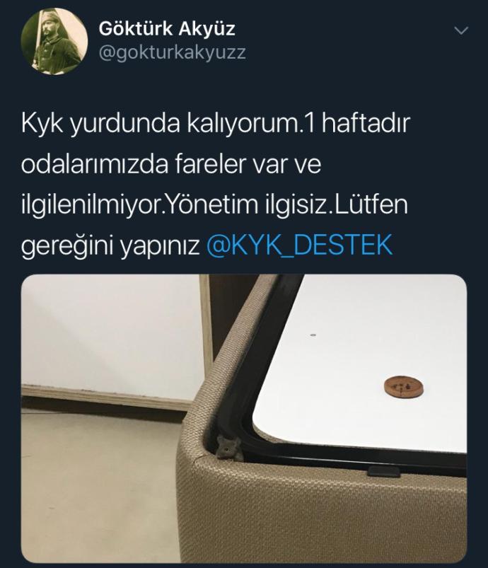 'Farenin de Öğrencisi mi Olurmuş?' Diyorsanız Çok Yanılıyorsunuz! Hadi KYK Faresi İle Tanışın!