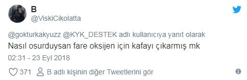 'Farenin de Öğrencisi mi Olurmuş?' Diyorsanız Çok Yanılıyorsunuz! Hadi KYK Faresi İle Tanışın!