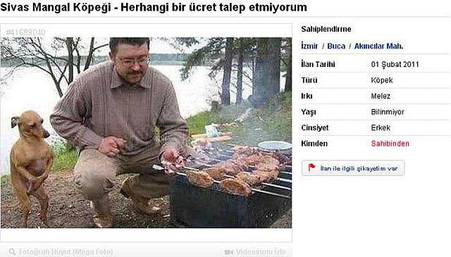 Gülme Ve Şaşırma Garantili 10 Efsane Satılık İlanı