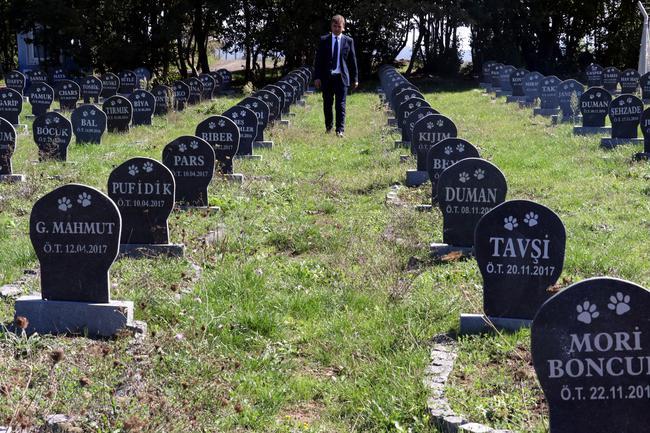 Samsun'da Kurulan Türkiye'nin En Büyük Evcil Hayvan Mezarlığı