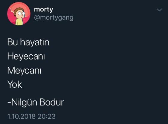 Nilgün Bodur İçin Atılmış 6 İlginç Tweet