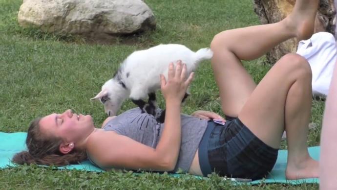 ABD'nin Yeni Trendi: Keçi Yogası