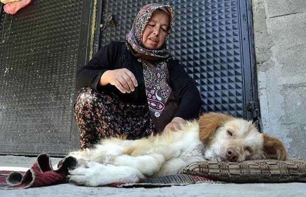 Hayvan Sever Kızların Çekici Olmasının 7 Sebebi Nedir?