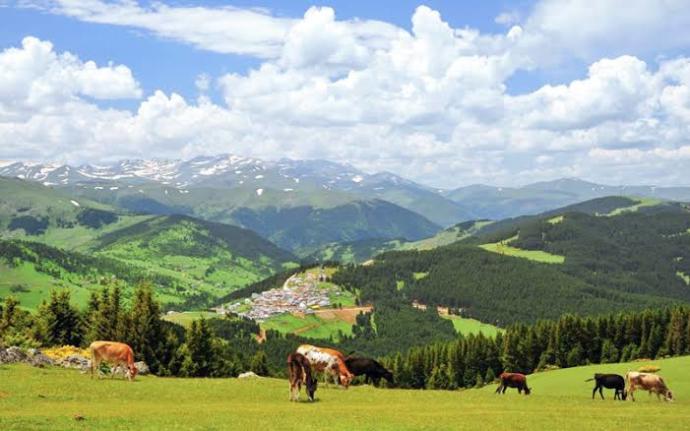 Fındığın Başkenti Ordu'da Görülmesi Gereken 4 Muhteşem Yayla!
