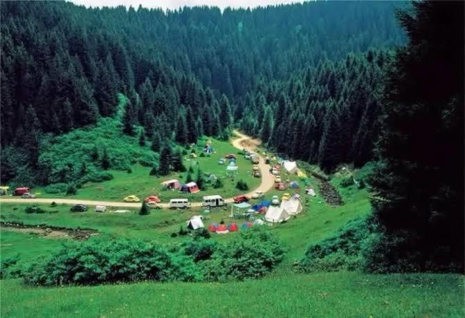 Fındığın Başkenti Ordu'da Görülmesi Gereken 4 Muhteşem Yayla!