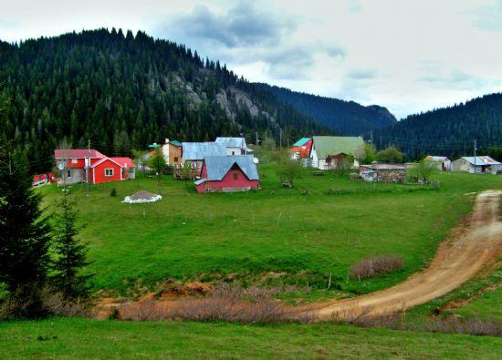 Fındığın Başkenti Ordu'da Görülmesi Gereken 4 Muhteşem Yayla!