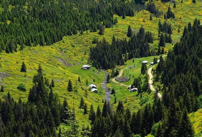 Fındığın Başkenti Ordu'da Görülmesi Gereken 4 Muhteşem Yayla!