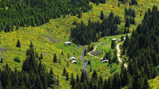 Fındığın Başkenti Ordu'da Görülmesi Gereken 4 Muhteşem Yayla!