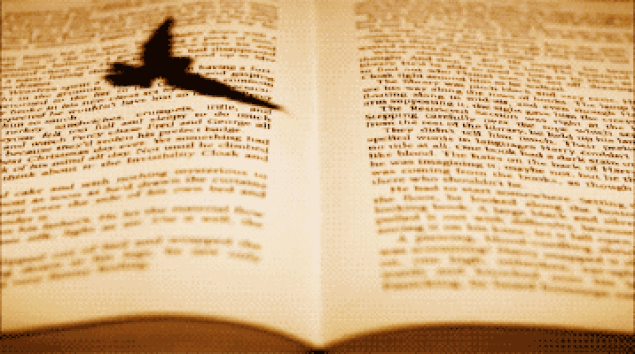 Kitap Okuyanların En Çok Canını Sıkan Durumlar Nelerdir?