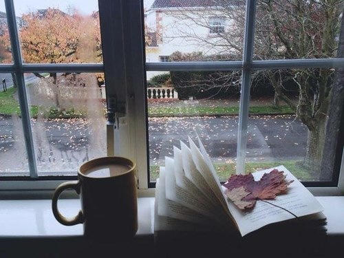 Kitap Okuyanların En Çok Canını Sıkan Durumlar Nelerdir?