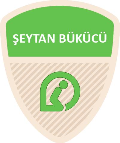 KizlarSoruyor Şeriat Düzeniyle Yönetilseydi Nasıl Olurdu?