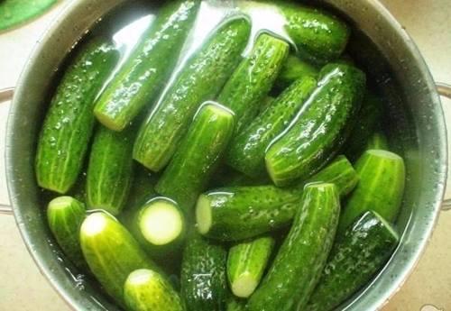 Ağzının Tadını Bilenlere: Sofraların ve Kış Aylarının Vazgeçilmezi Kornişon Turşusu Yapılışını Paylaşıyorum!