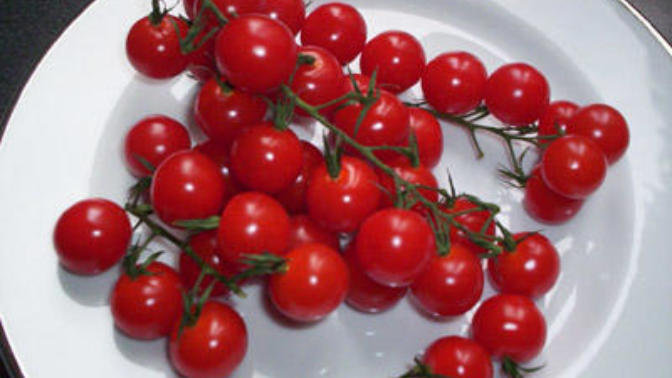 Cherry Domates Yerken Dikkat Edilmesi Gereken Hususlar