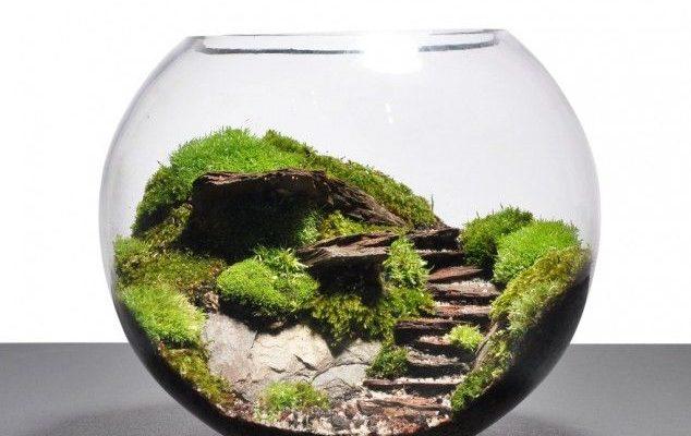 Teraryum Yaparak Kendi Sanat Eserinizi Kendiniz Yaratın!