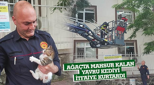 Yavru Hayvanlar Bahane, İtfaiyeciler Şahane: Avustralyalı İtfaiyecilerden Yangın Çıkaran Pozlar