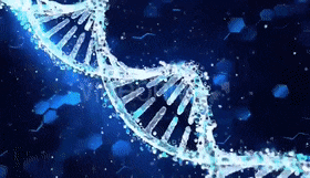 DNA'larına Göre Irk Testi Yapılan İnsanların Sonuçlara Verdikleri Tepkiler: Kim Olduğunuzu Sorgulamaya Cesaret Edebilir Misiniz?