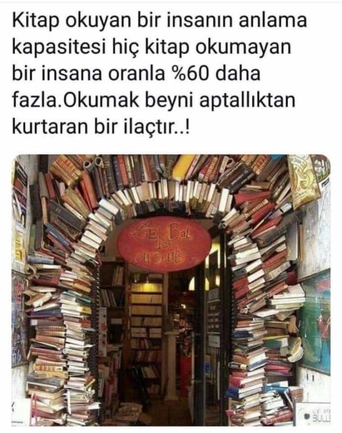 Okuduğu Kitaplarla "Beni Buraya Bırakın, Burada Yaşarım" Diyeceğiniz Sanat Eserleri Ortaya Çıkaran Kitap Kurdu!