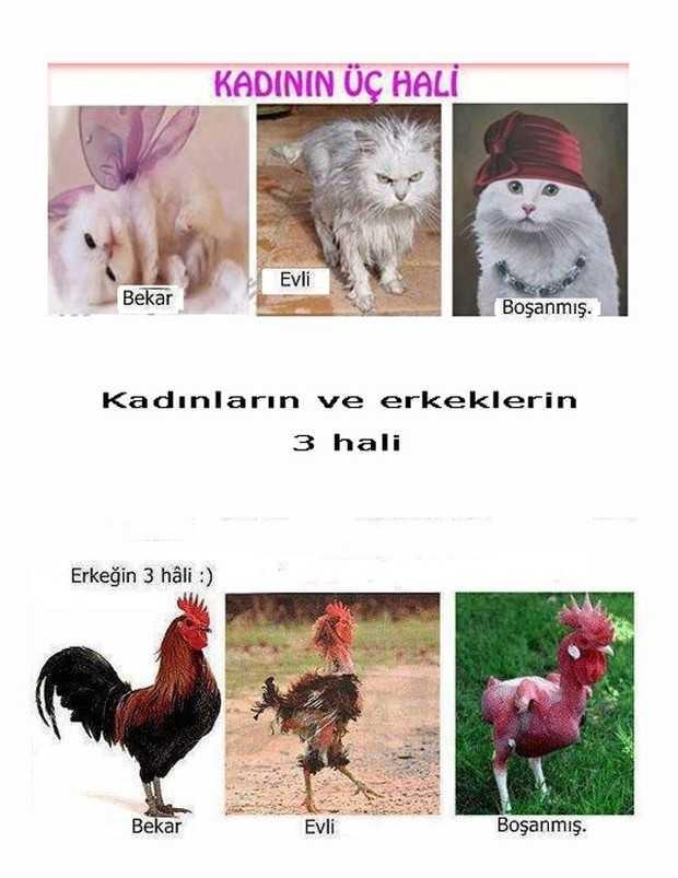 Erkeğin Evlenmeden Önce Ve Evlendikten Sonraki Halleri Nelerdir?