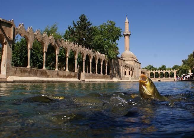 Şanlıurfa, Balıklı göl
