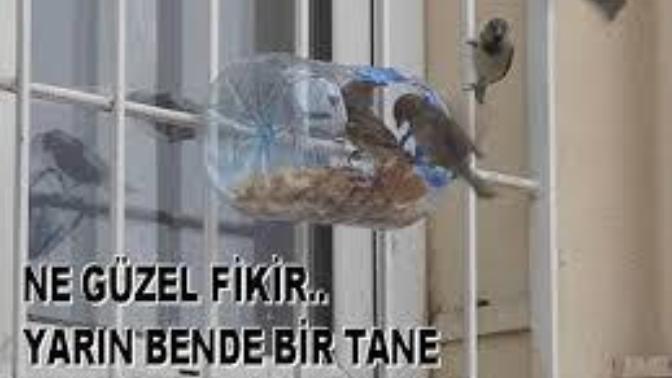 Bir kap sevgi, biraz da tokluk