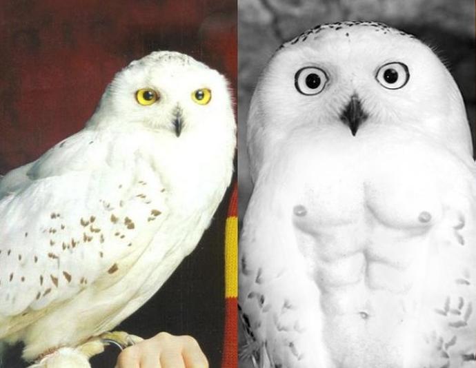 Yıllar Onları Taşa Çevirdi! Küçükken İlgiyle İzlediğimiz Çocuklar Şimdi Nasıl Görünüyor?