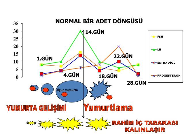 Cinsel Sağlık İçin Bayanlara Tavsiyeler