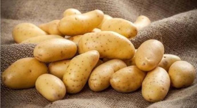 Patates