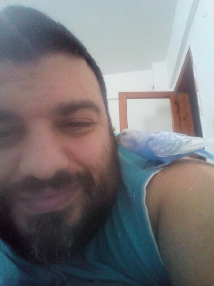 İnsanı Bir Kuş Misali Huzurlu ve Mutlu Edecek Sebepler Nelerdir?