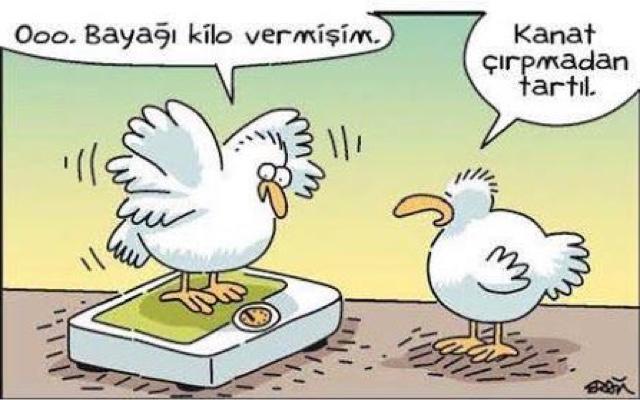 Güldüren, Düşündüren Hayatın İçinden Karikatürler