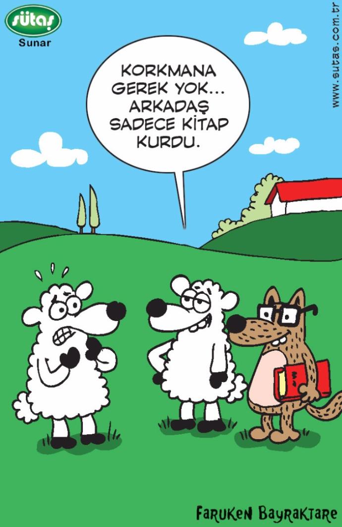 Güldüren, Düşündüren Hayatın İçinden Karikatürler